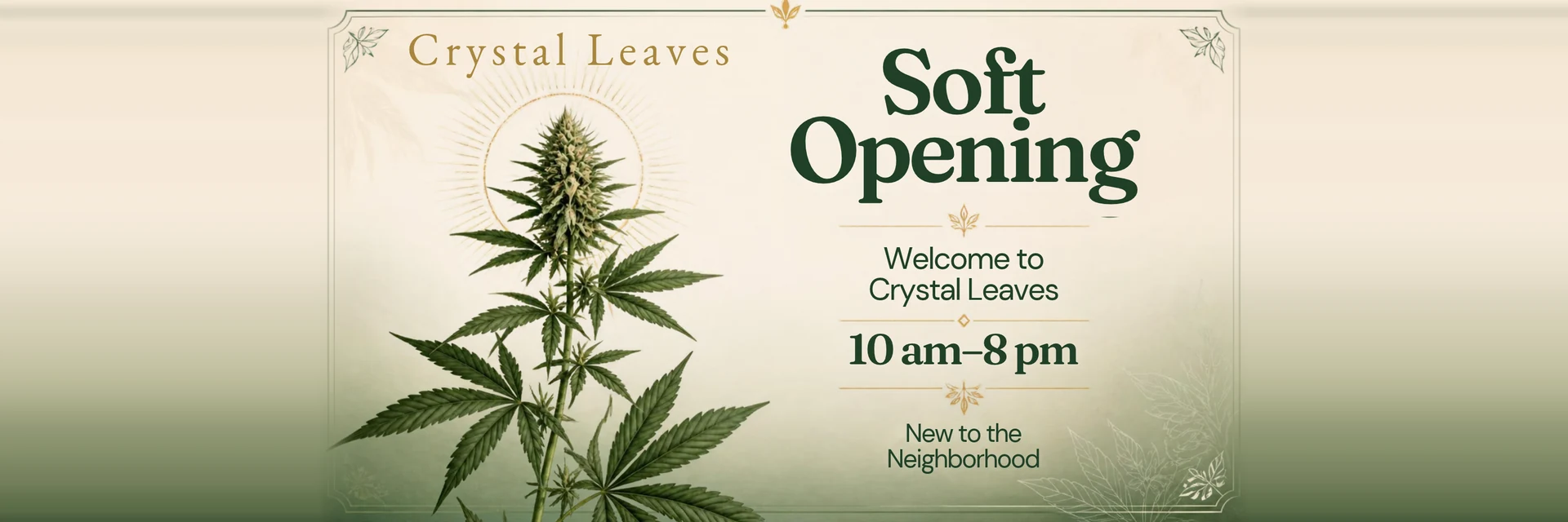 Crystal Leaves soft opening, open 10 am to 8 pm, new to the neighborhood